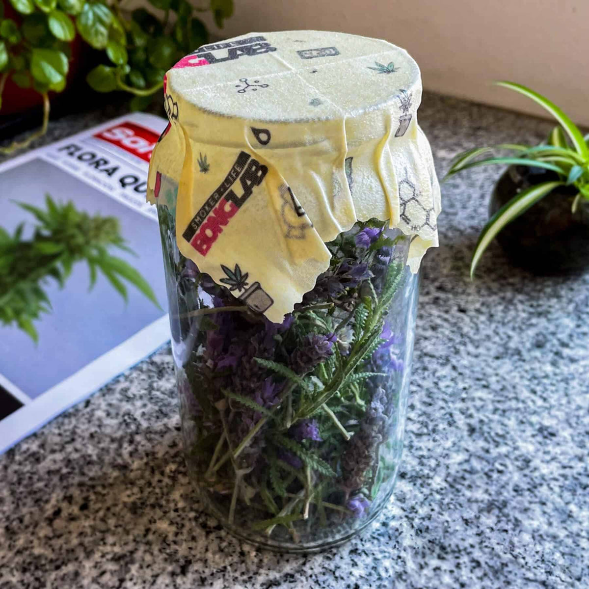 TAPAS DE CURADO ECOBEE PACK X2-BONGLAB - imagen 2
