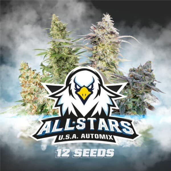ALL STARS USA MIX AUTO X12 -BSF
