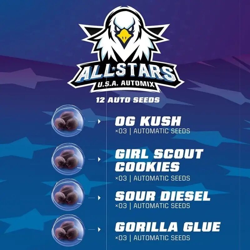 ALL STARS USA MIX AUTO X12 -BSF - imagen 2