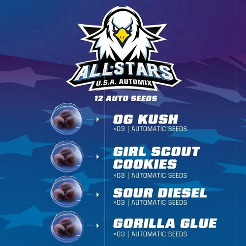ALL STARS USA MIX AUTO X12 -BSF - imagen 2
