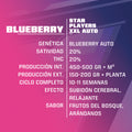 BLUE BERRY AUTO X4 -BSF