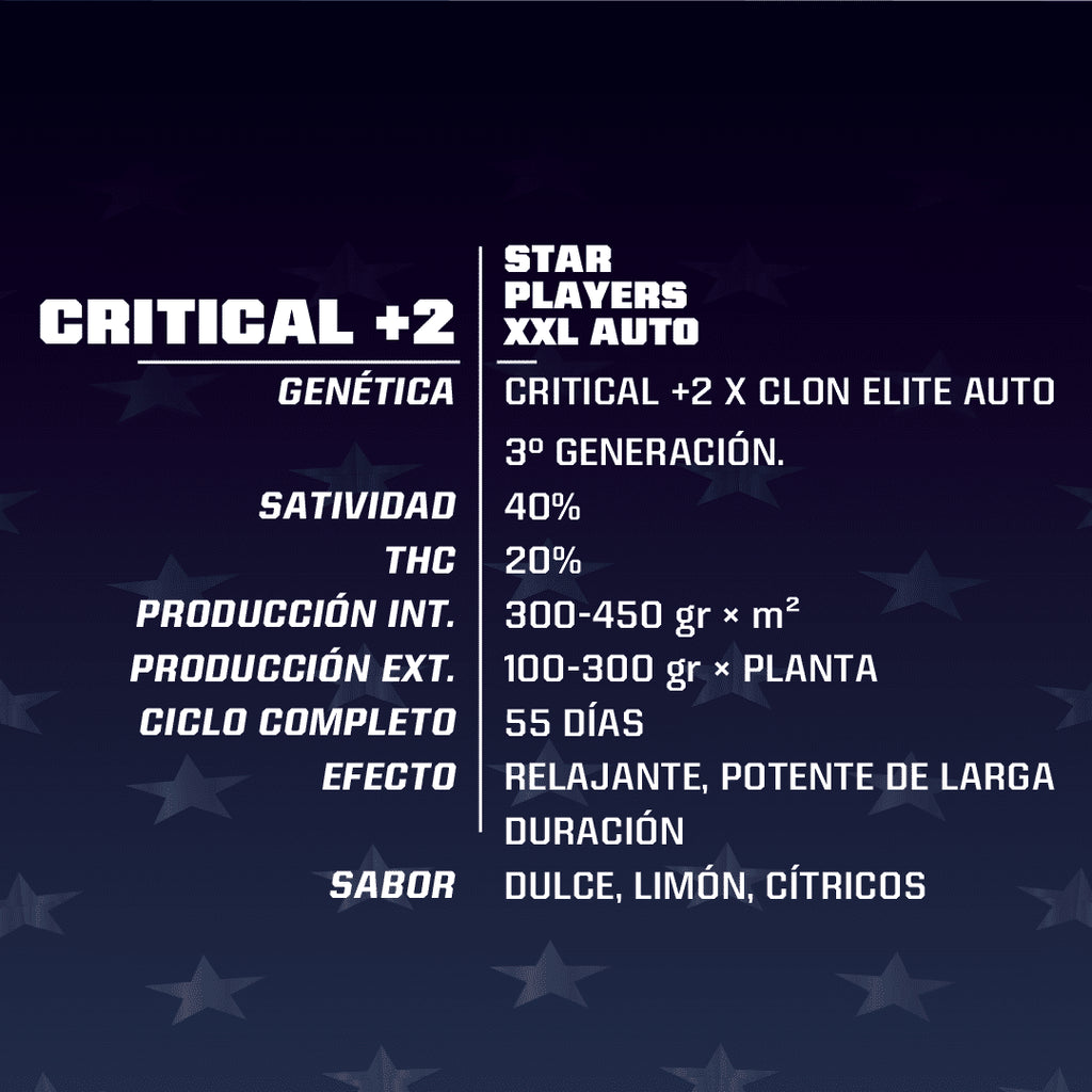 CRITICAL +2 XXL AUTO X4 -BSF - imagen 2