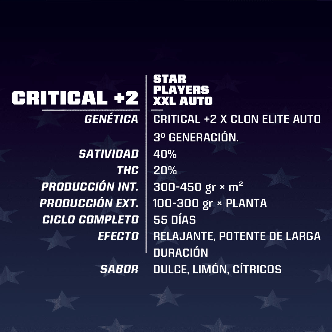 CRITICAL +2 XXL AUTO X4 -BSF - imagen 2