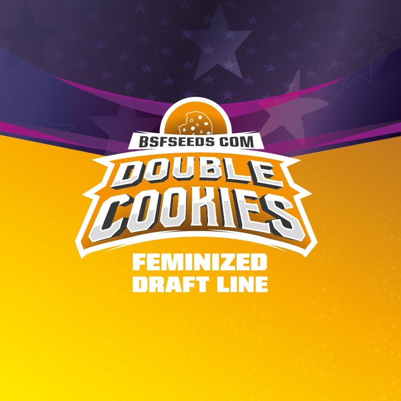 DOUBLE COOKIES SP FEM X4 -BSF - imagen 3