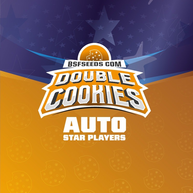 DOUBLE COOKIES SP AUTO X4 -BSF - imagen 3