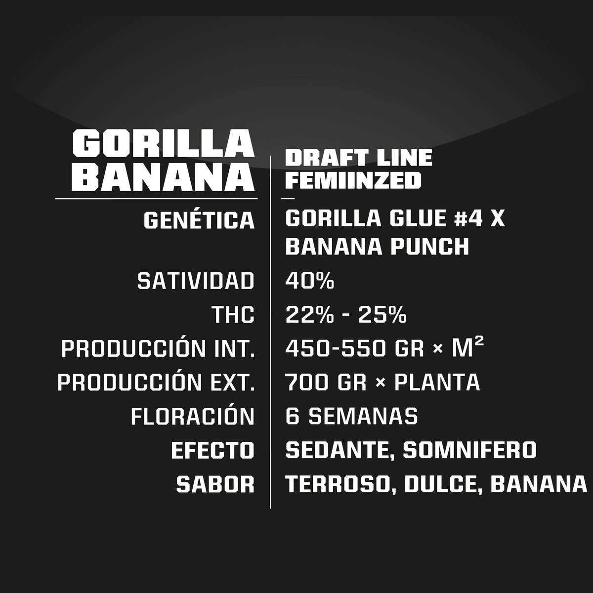 GORILLA BANANA FEM X4-BSF - imagen 2