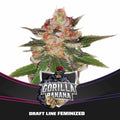 GORILLA BANANA FEM X4-BSF