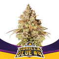 GORILLA GLUE N4 FEM X2-BSF