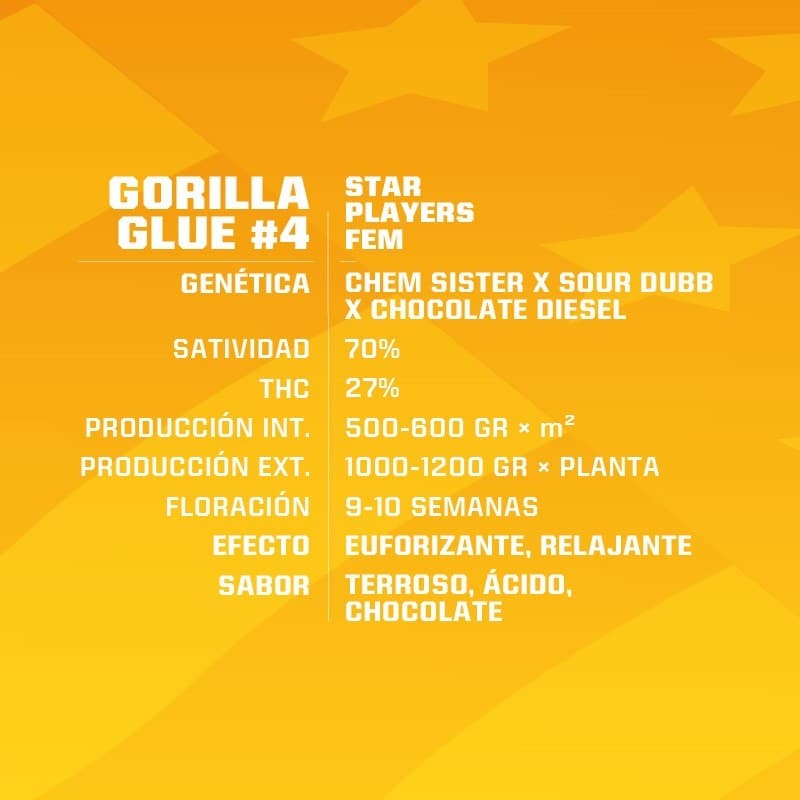 GORILLA GLUE N4 FEM X2-BSF - imagen 2