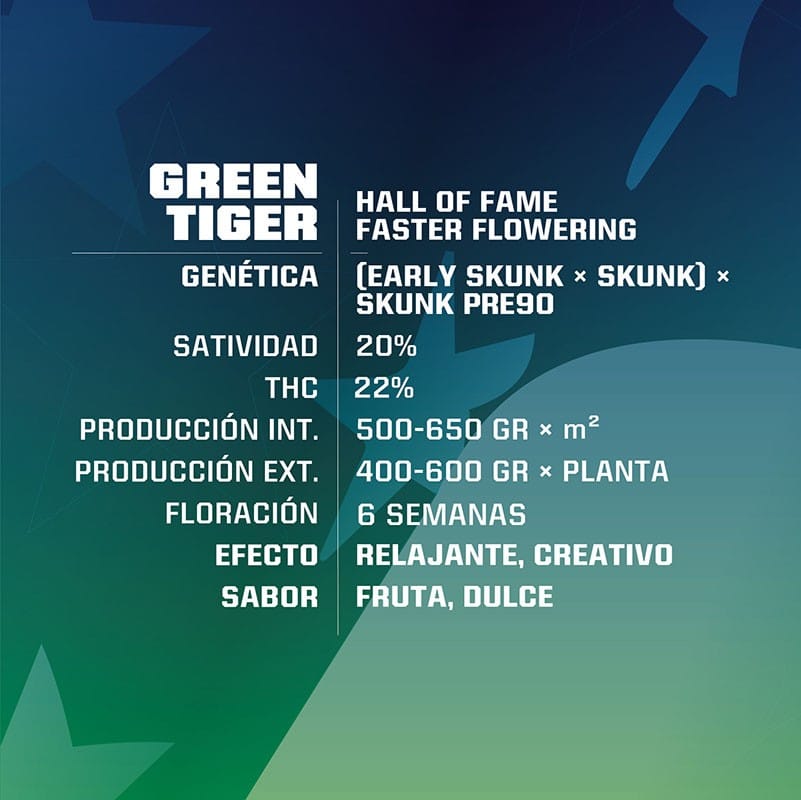 GREEN TIGER FAST FEM X7-BSF - imagen 2
