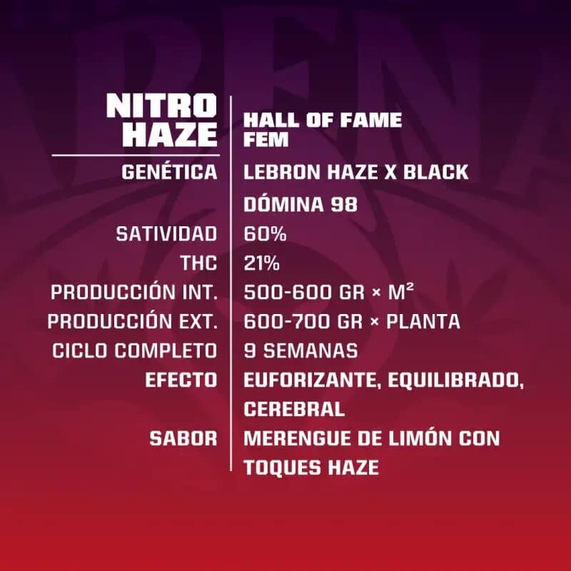 NITRO HAZE FEM X7-BSF - imagen 2