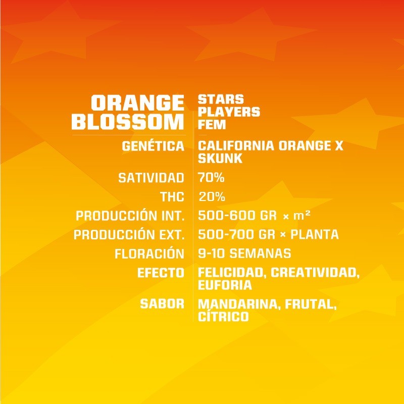 ORANGE BLOSSOM FEM X4 -BSF