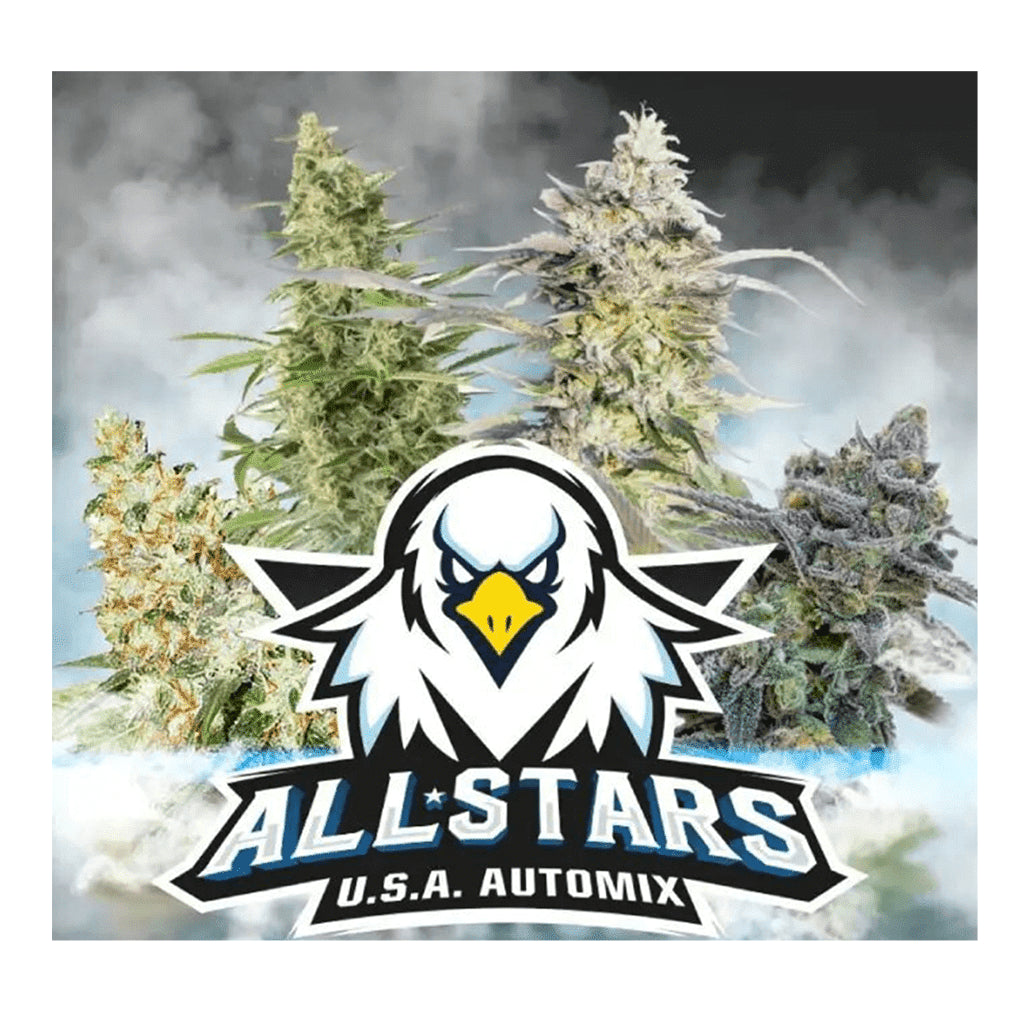 ALL STARS USA MIX AUTO X4 -BSF