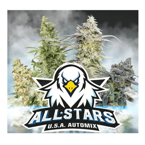ALL STARS USA MIX AUTO X4 -BSF