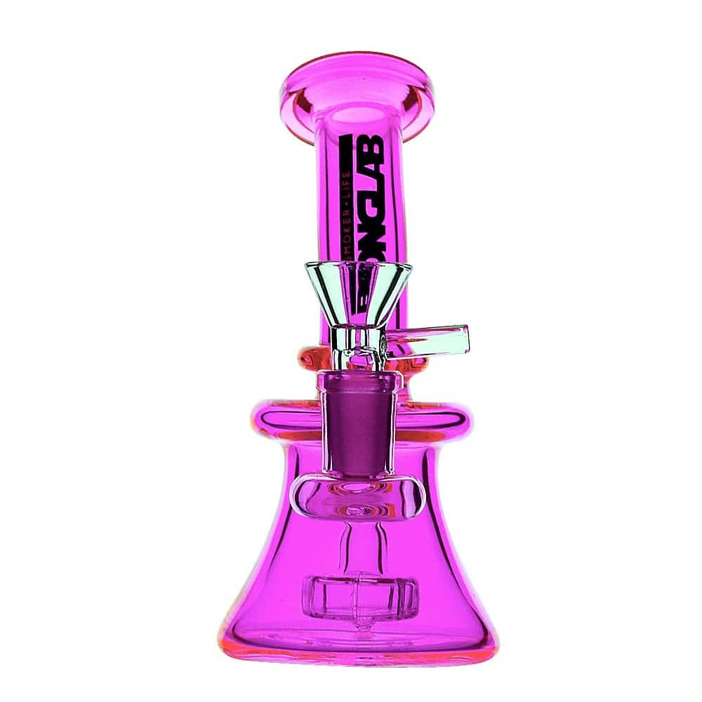 R2 PINK-BONGLAB - imagen 2