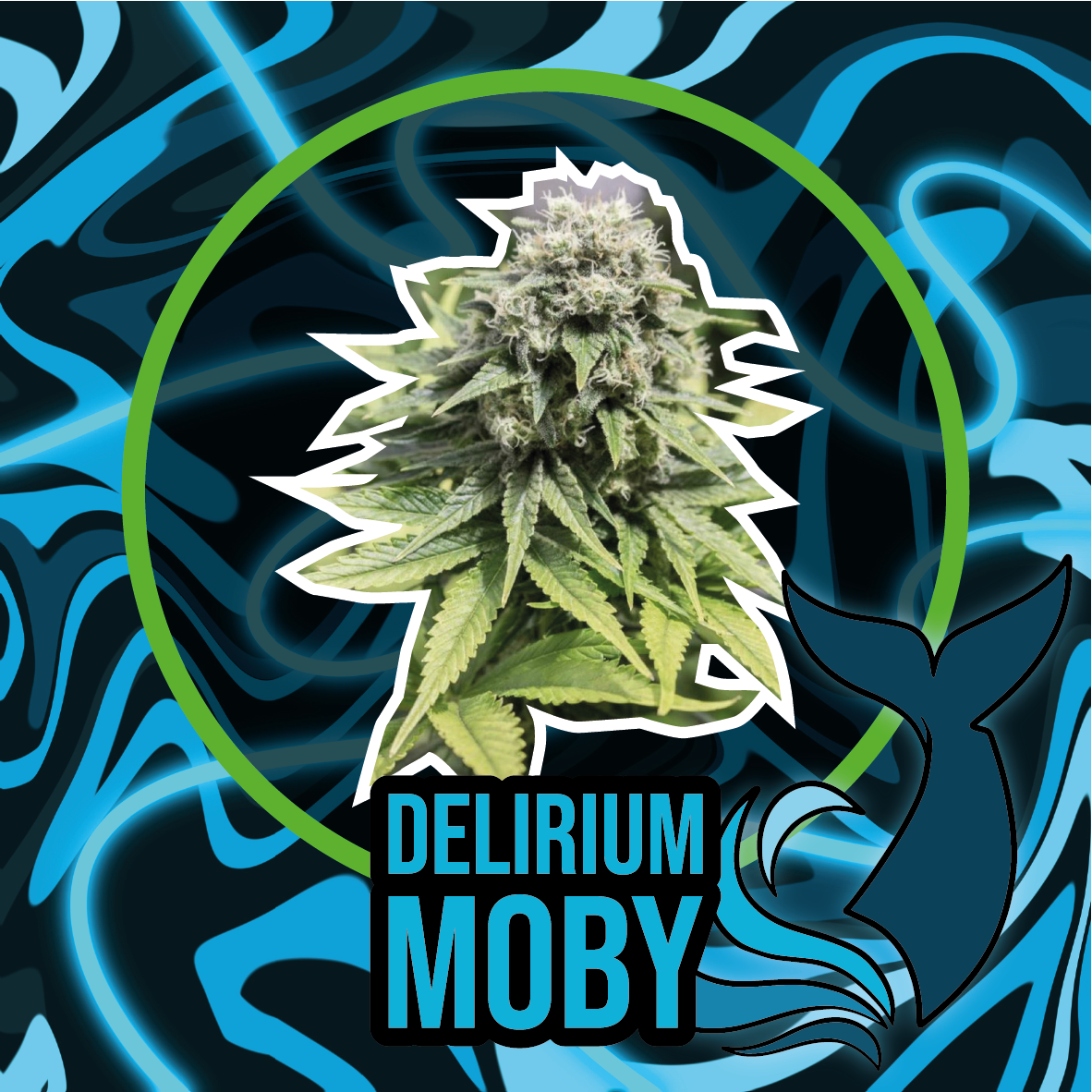 DELIRIUM MOBY AUTO X4-DELIRIUM SEEDS