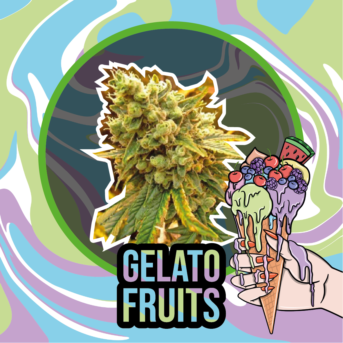 GELATO FRUITS AUTO X1-DELIRIUM SEEDS - imagen 2