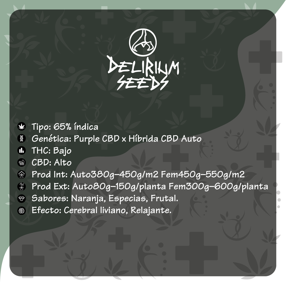 MEDICAL CBD AUTO X1-DELIRIUM SEEDS - imagen 2
