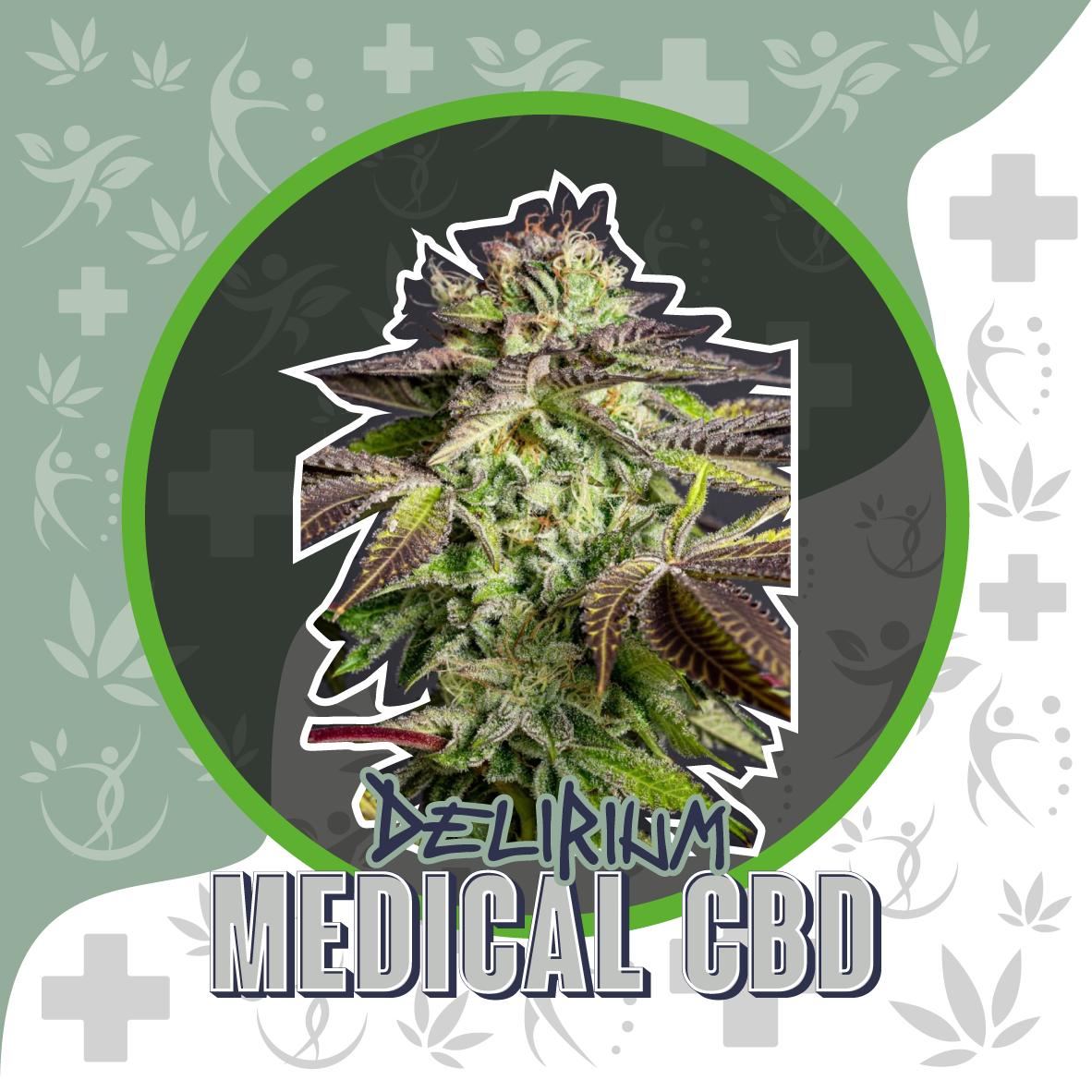 MEDICAL CBD AUTO X1-DELIRIUM SEEDS