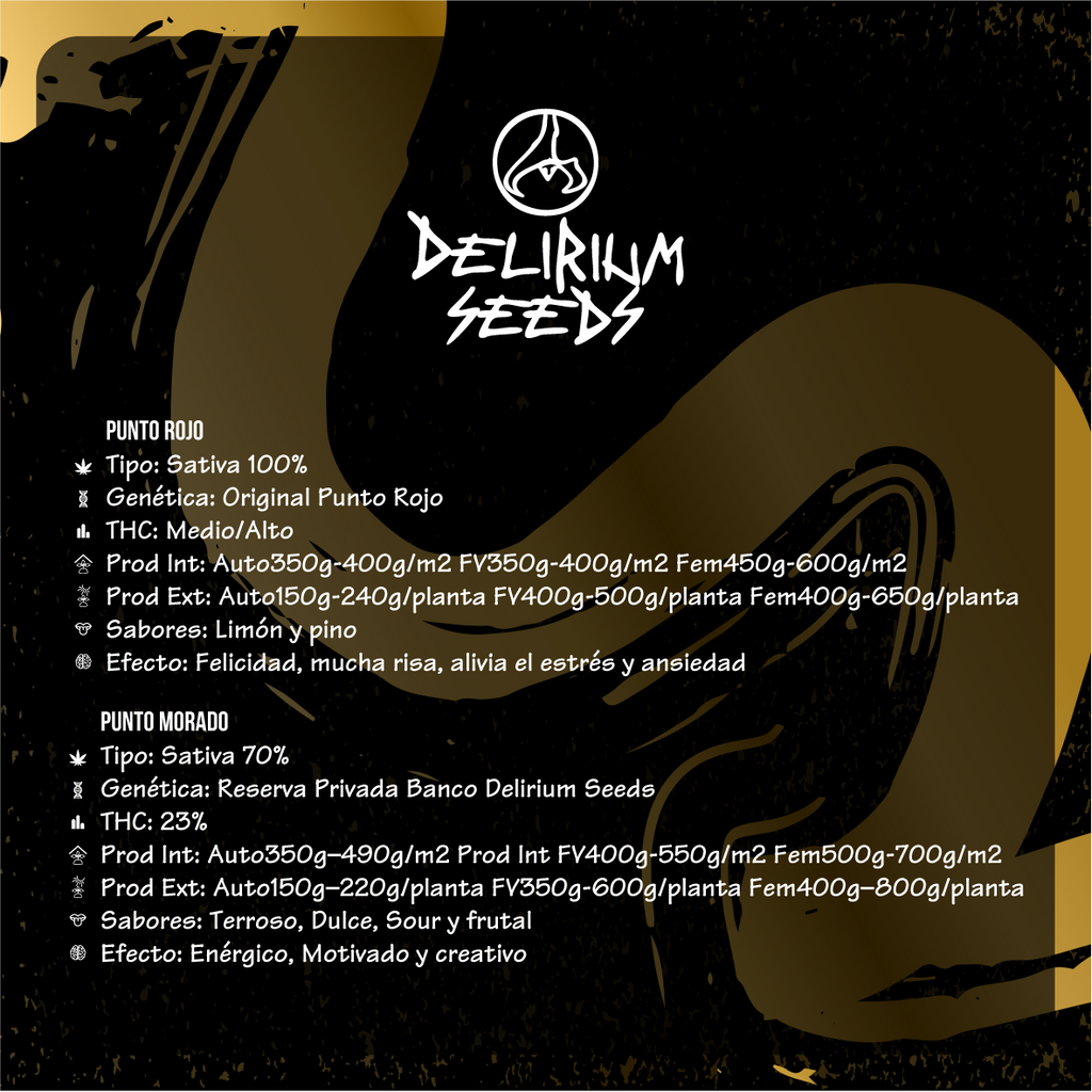 MIX LEYENDAS AUTO X4-DELIRIUM SEEDS - imagen 2