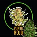 PUNTO ROJO FEM X2-DELIRIUM SEEDS
