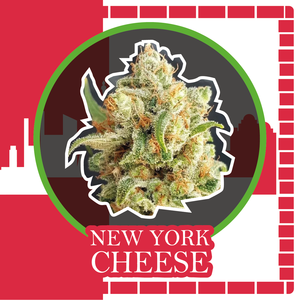 NEW YORK CHEESE AUTO X2-DELIRIUM SEEDS