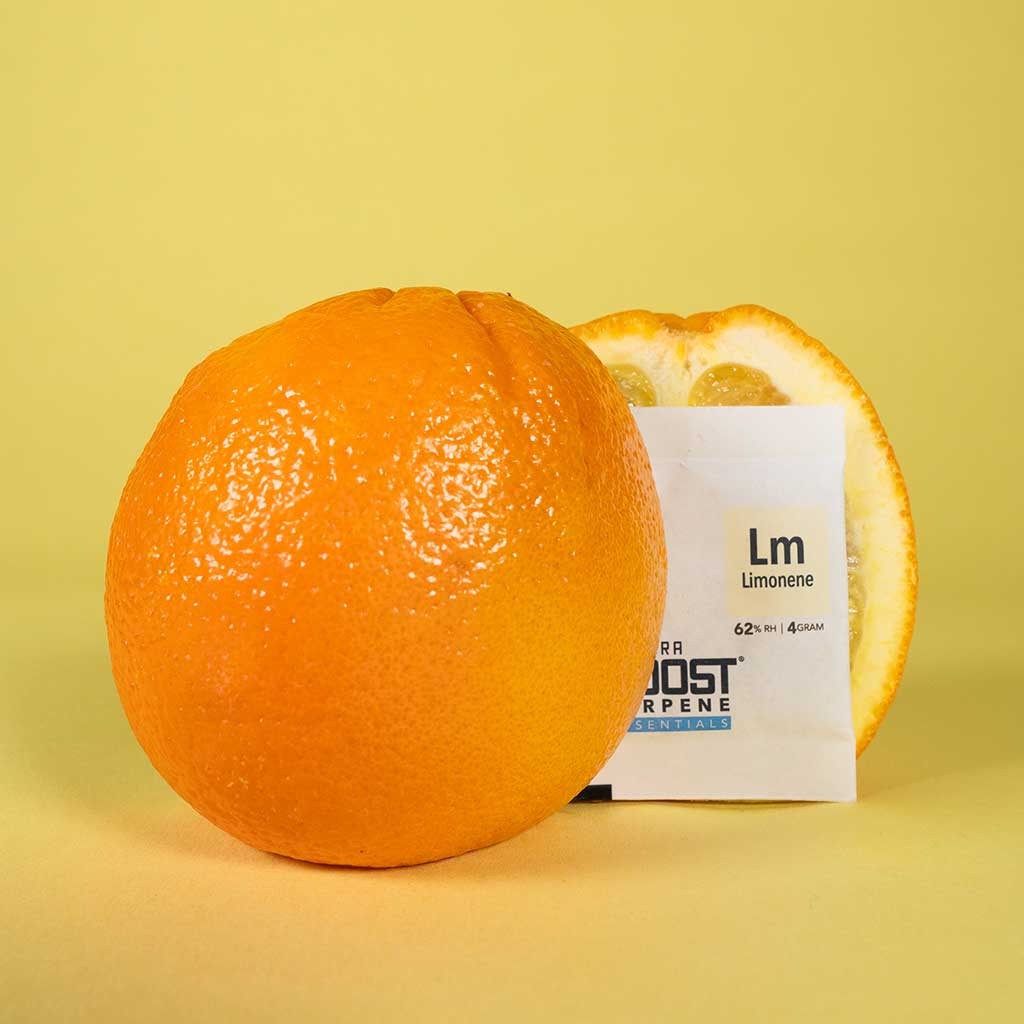 REGULADOR DE HUMEDAD CON TERPENO LIMONENE 4G 62%-INTEGRA BOOST - imagen 2