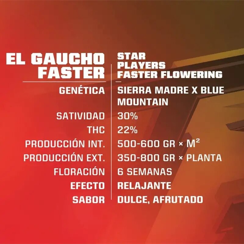 EL GAUCHO FASTER SP X2-BSF - imagen 2