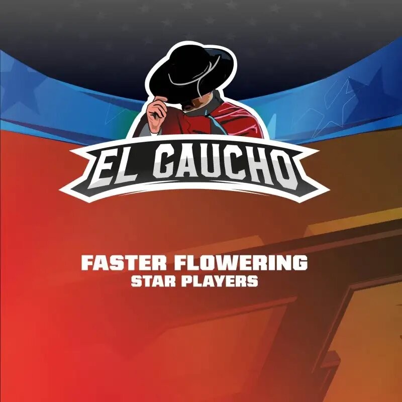 EL GAUCHO FASTER SP X2-BSF - imagen 3
