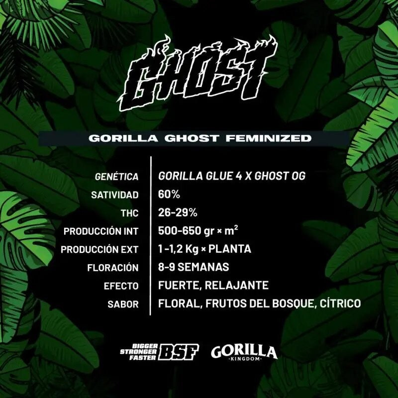 GORILLA GHOST GK FEM X2-BSF
