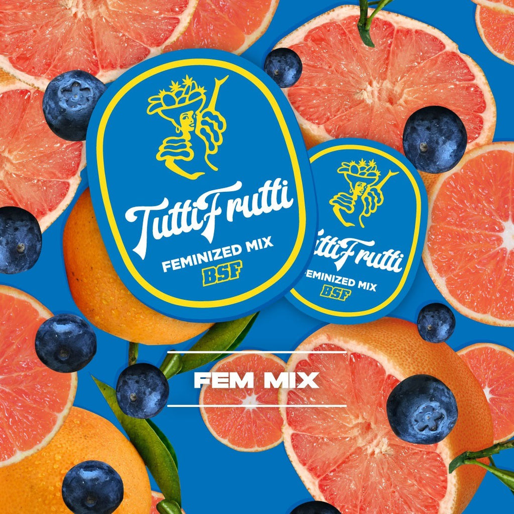 TUTTI FRUTTI MIX FEM X4-BSF - imagen 3
