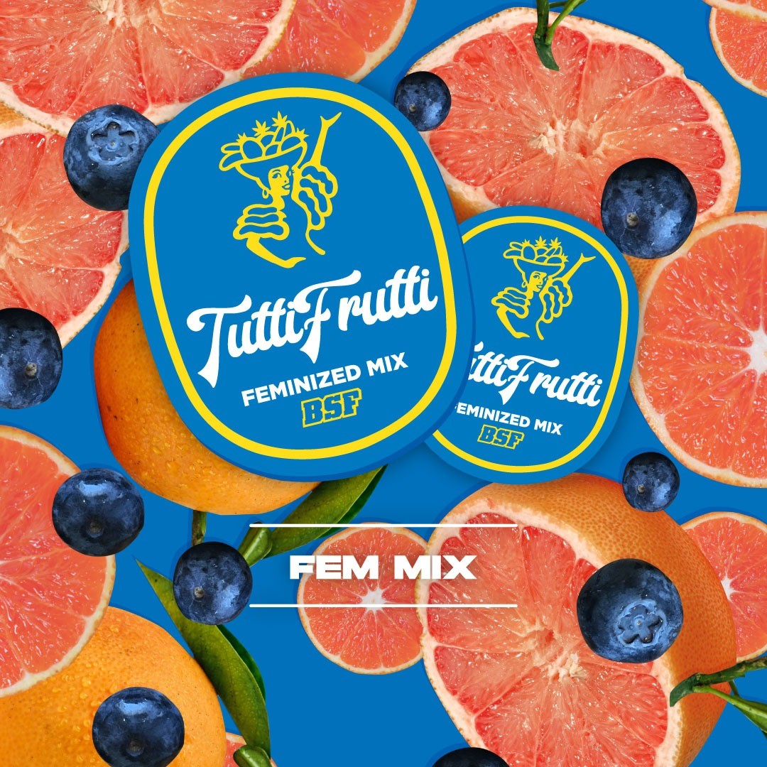 TUTTI FRUTTI MIX FEM X4-BSF - imagen 3