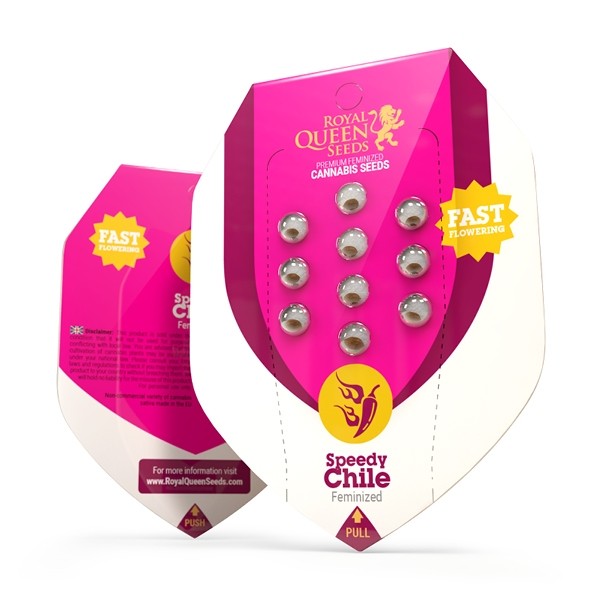 SPEEDY CHILE FAST FEM X10-ROYAL QUEEN