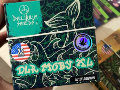 DELIRIUM MOBY XL AUTO X2 - DELIRIUM SEEDS