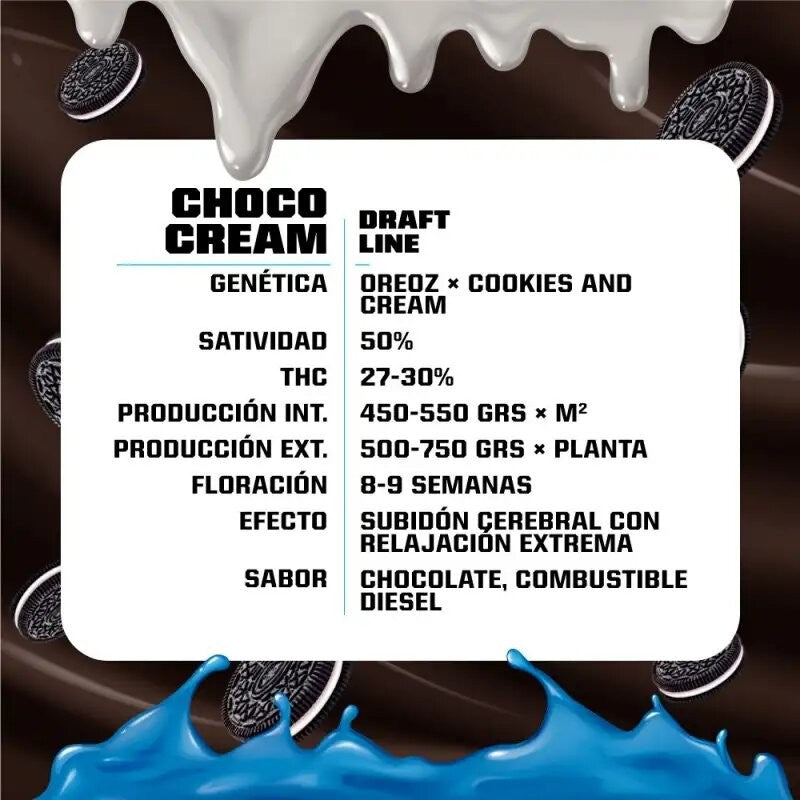CHOCO CREAM FEM X7-BSF - imagen 2