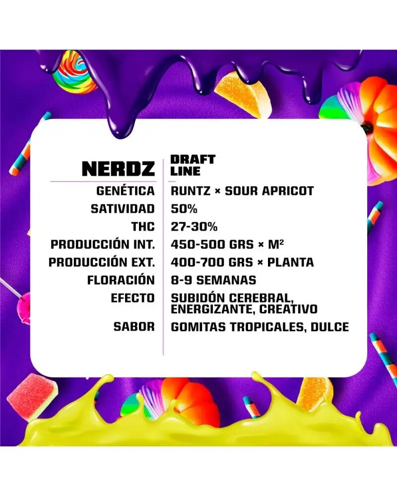 NERDZ FEM X2-BSF - imagen 2
