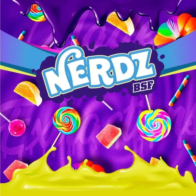 NERDZ FEM X2-BSF - imagen 3