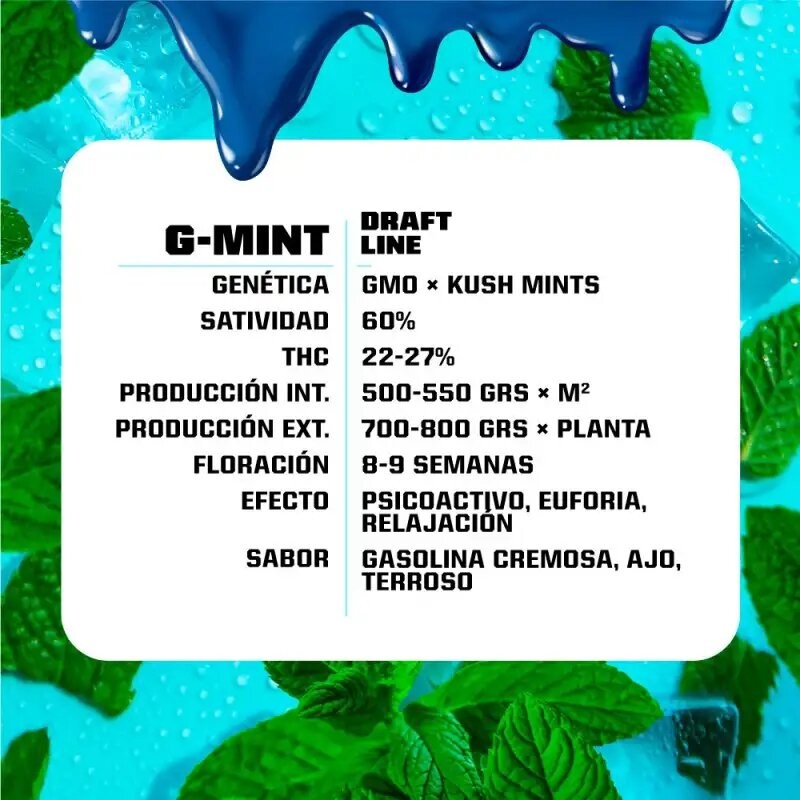 G-MINT FEM X7-BSF - imagen 3