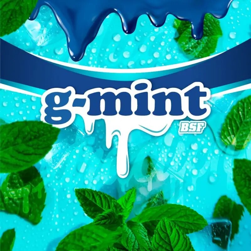 G-MINT FEM X12-BSF