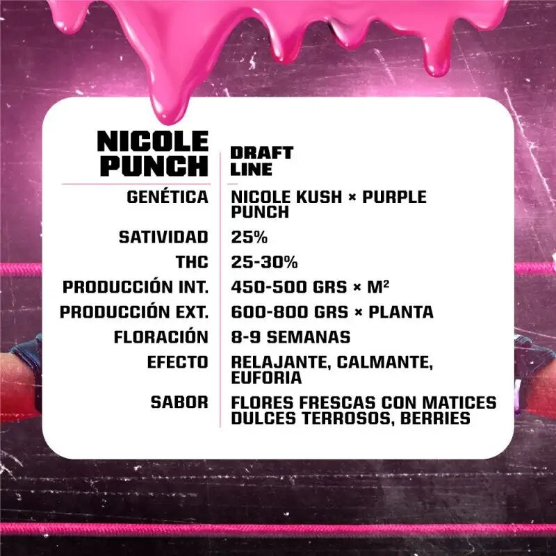 NICOLE PUNCH FEM X7-BSF - imagen 3