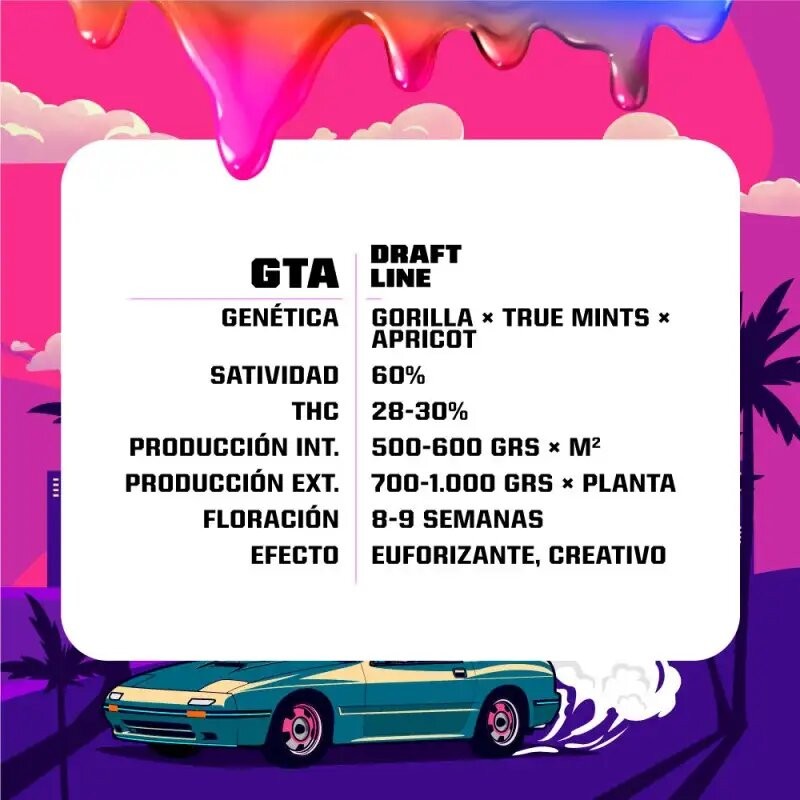 GTA FEM X7-BSF - imagen 3
