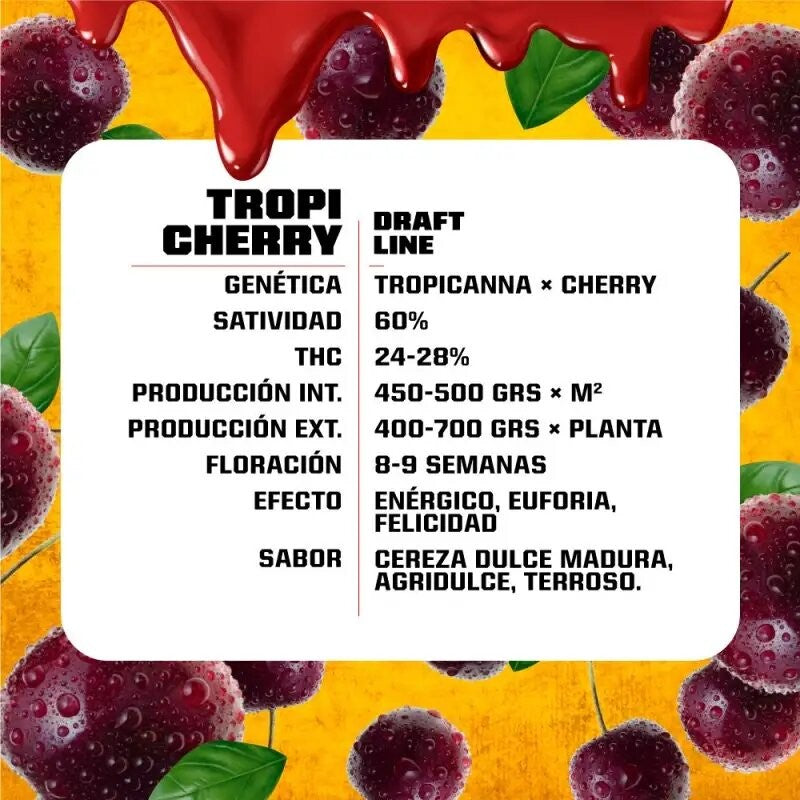 TROPI CHERRY FEM X4-BSF - imagen 2
