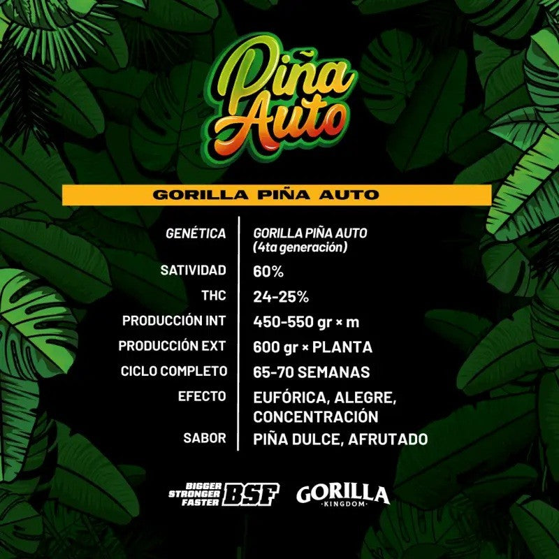 GORILLA PIÑA AUTO X4-BSF - imagen 2