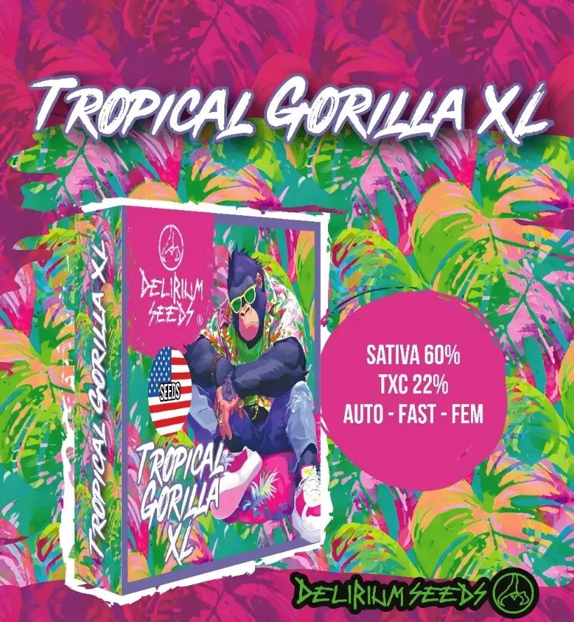 TROPICAL GORILLA XL FEM X1-DELIRIUM SEEDS