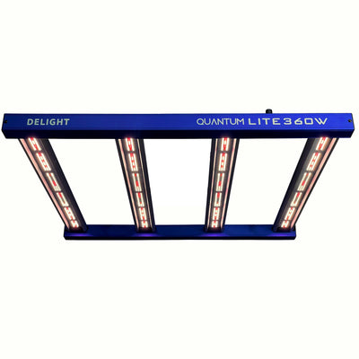 New Quantum Lite 360W - Delight