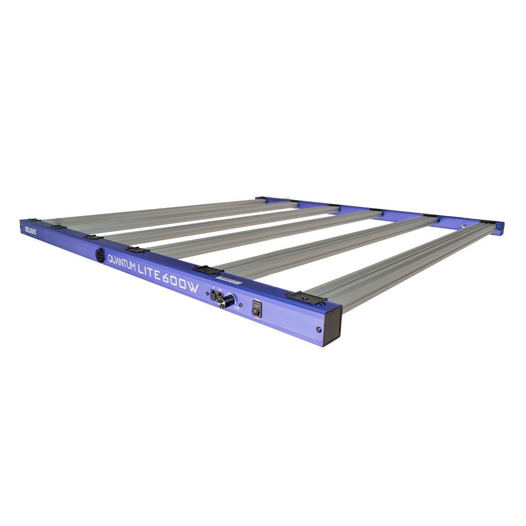 NEW QUANTUM LITE 600W-DELIGHT - imagen 2