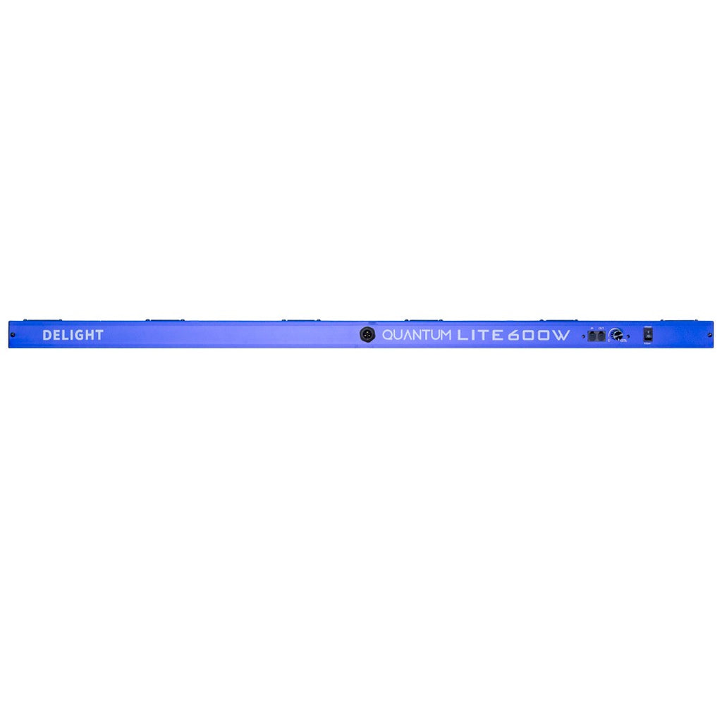 NEW QUANTUM LITE 600W-DELIGHT - imagen 3