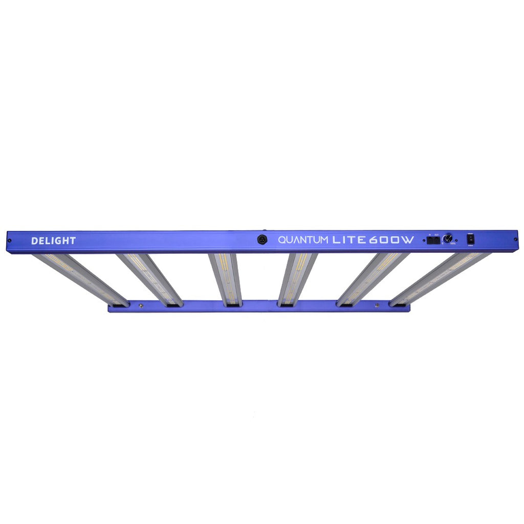 NEW QUANTUM LITE 600W-DELIGHT - imagen 4
