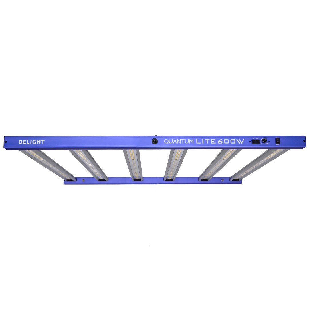 NEW QUANTUM LITE 600W-DELIGHT - imagen 4