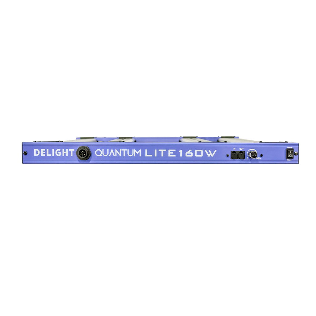 NEW QUANTUM LITE 160W-DELIGHT - imagen 2